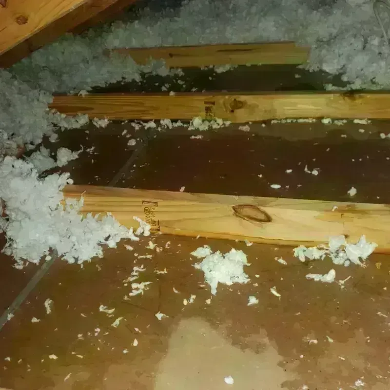 Attic Water Damage in Elbert County, GA