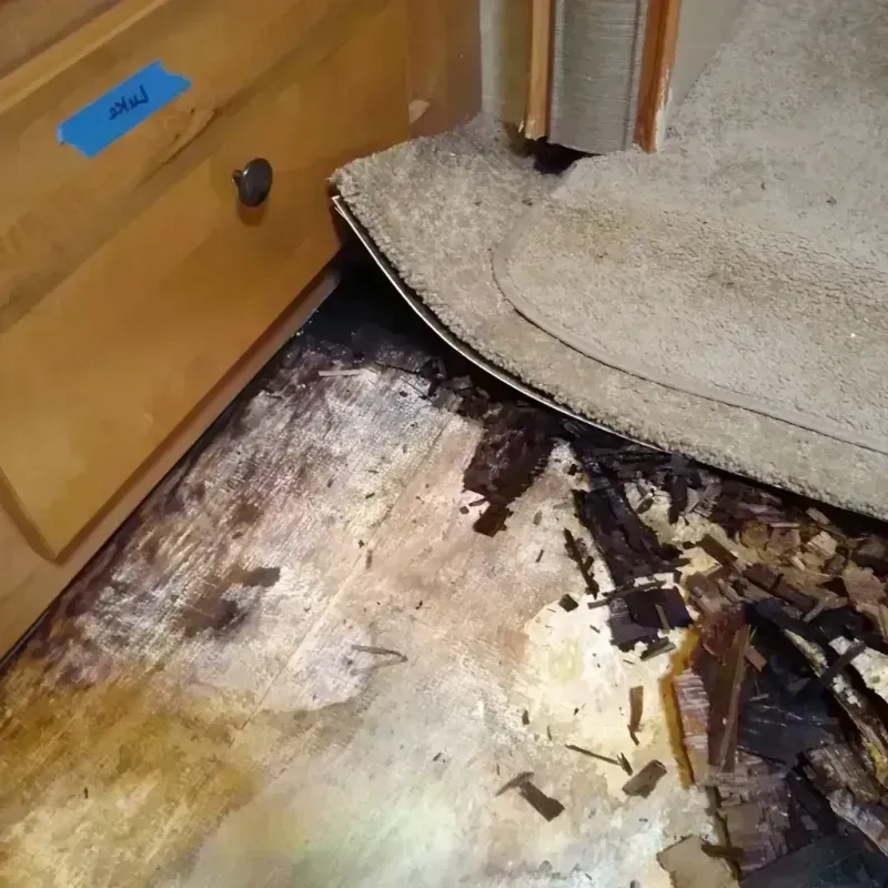 Best Wood Floor Water Damage Service in Elbert County, GA